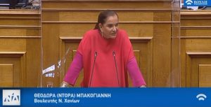 Ενημέρωση για τις προτεραιότητες της Ελληνικής Προεδρίας του Συμβουλίου της Ευρώπης